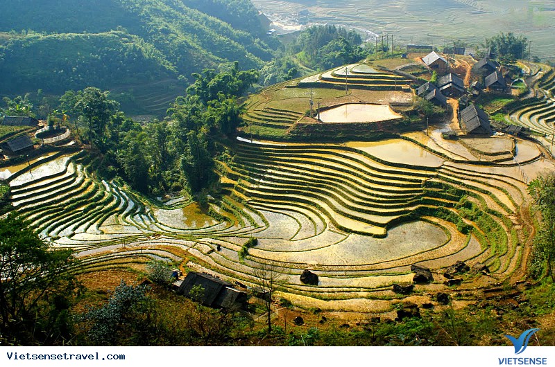 Sapa