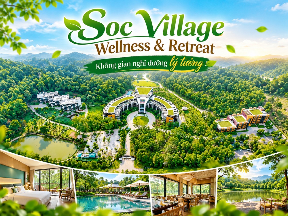 Sóc Village Wellness & Retreat yên bình giữa rừng thông tại Sóc Sơn
