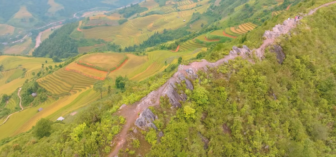 Sống lưng Khủng Long