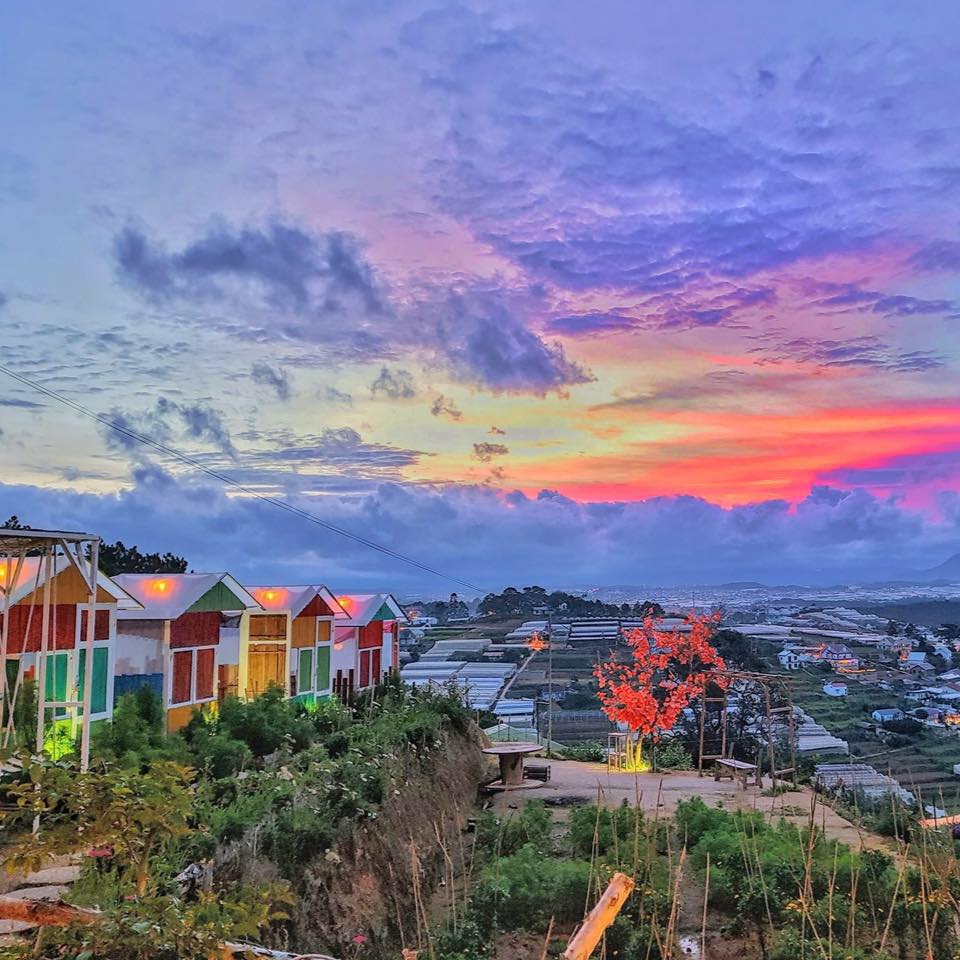Sunny Farm Đà Lạt - Nấc thang lên thiên đường