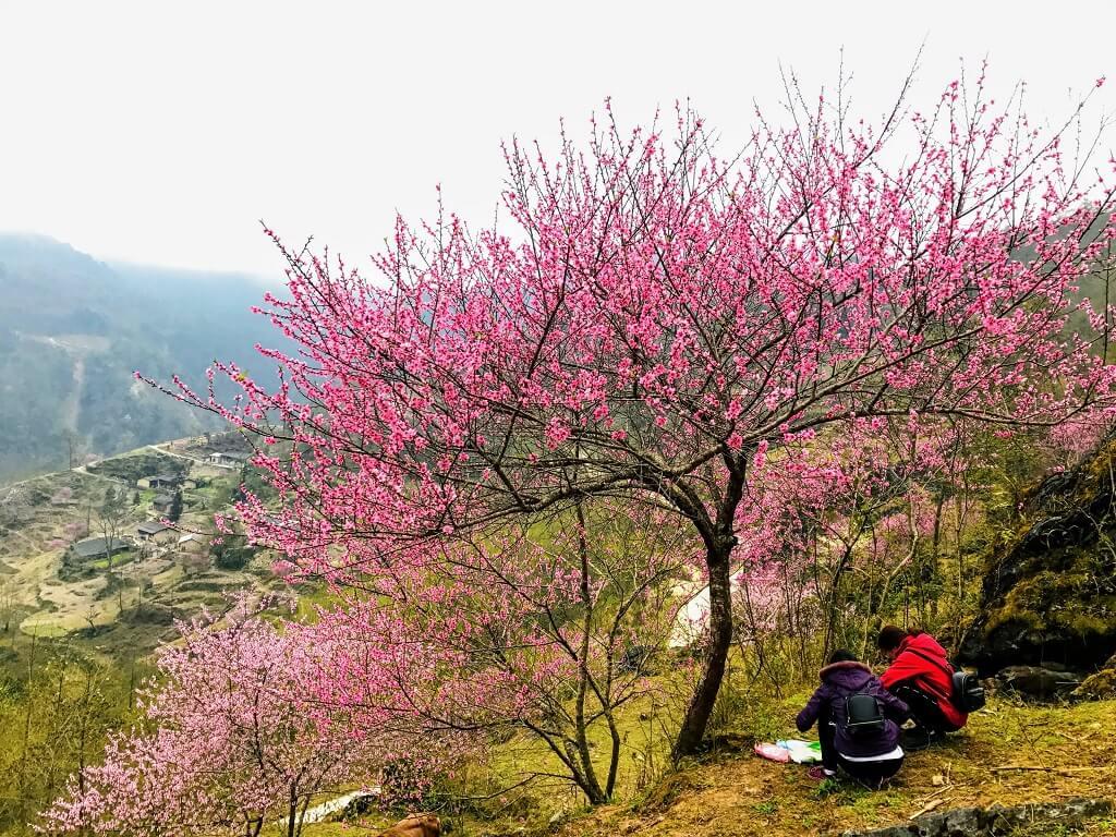 Tết Nguyên Đán Và Hành Trình Về Với Cao Nguyên Đá Hà Giang
