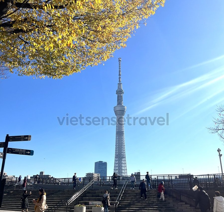 Tháp Tokyo Skytree điểm check-in không thể bỏ lỡ