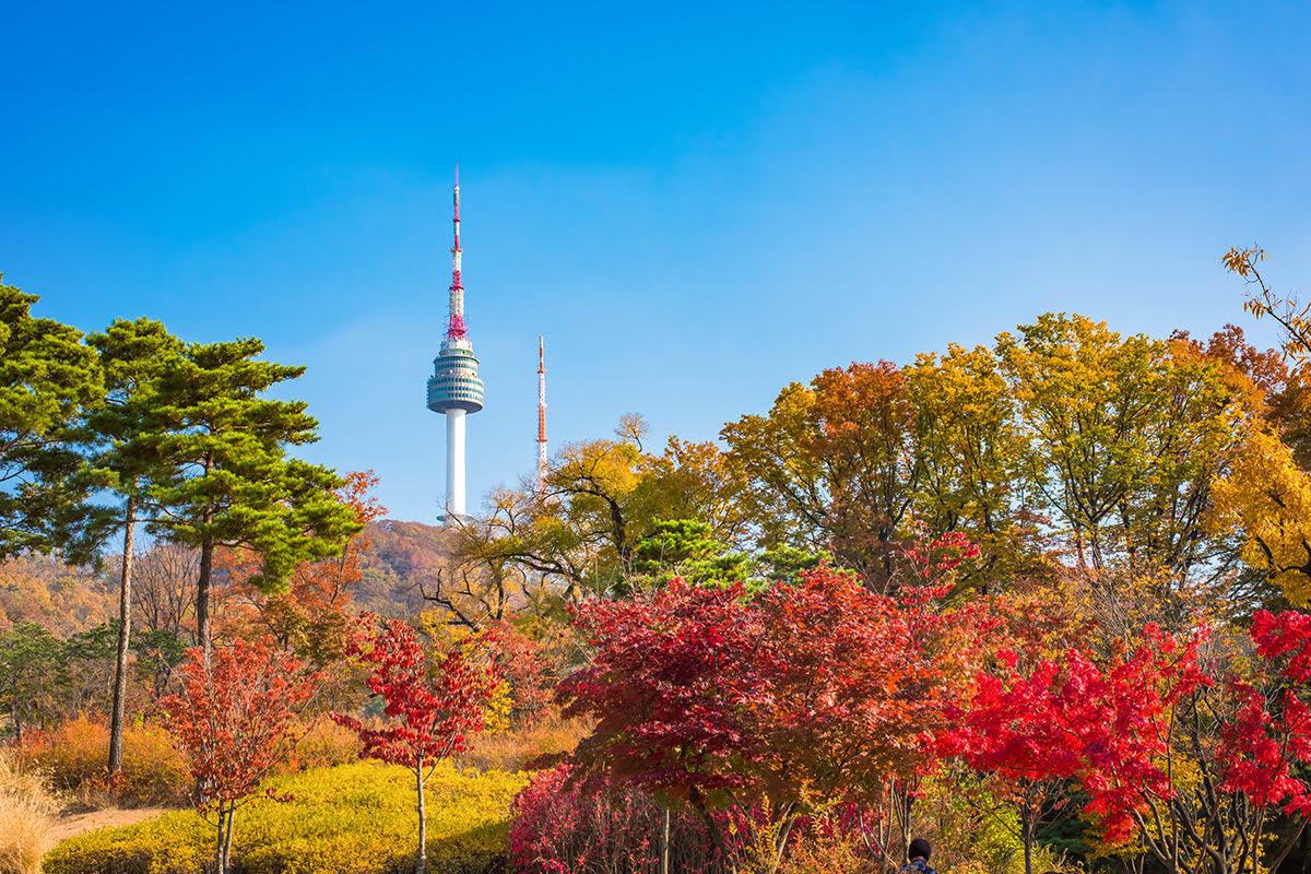 Tháp truyền hình Namsan N Tower: Biểu tượng văn hóa tại Hàn Quốc