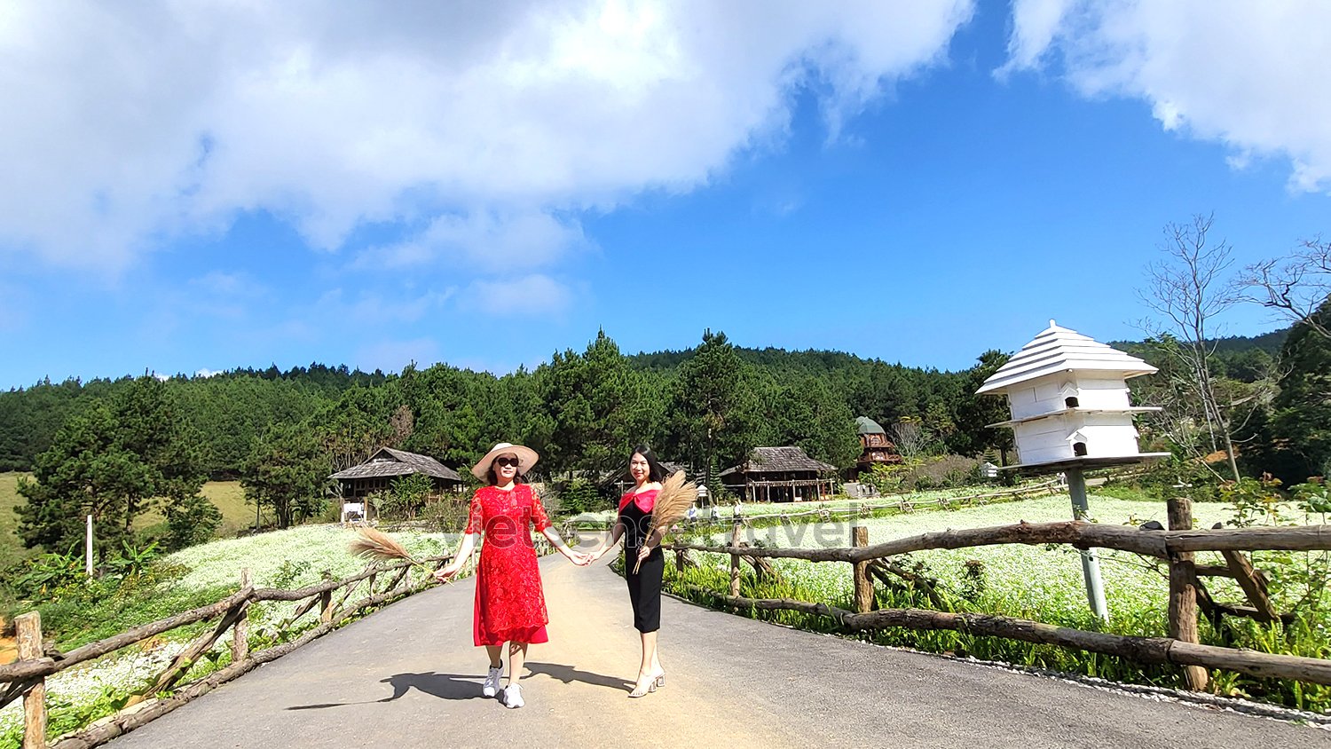 The Nordic Village Mộc Châu: Bảng giá phòng, dịch vụ, số đt liên hệ