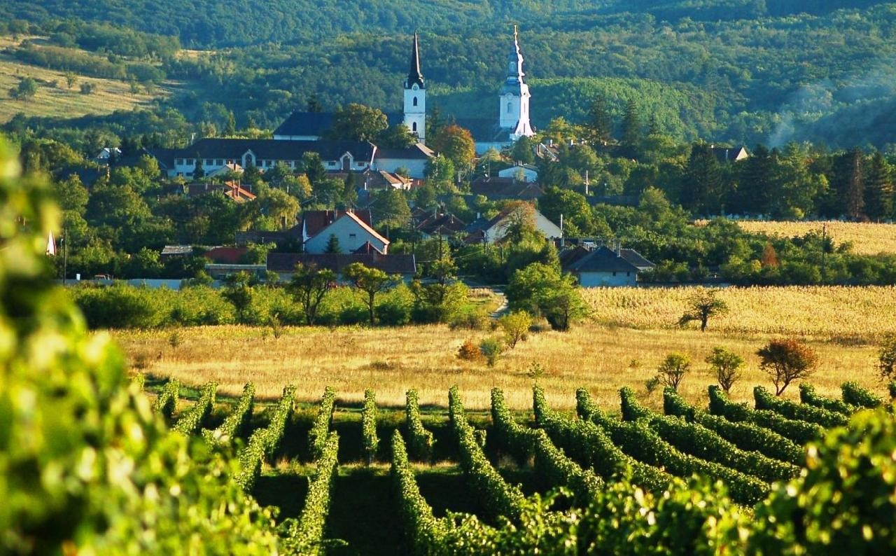Thị trấn Tokaj: Xứ sở rượu vang nổi tiếng của Hungary