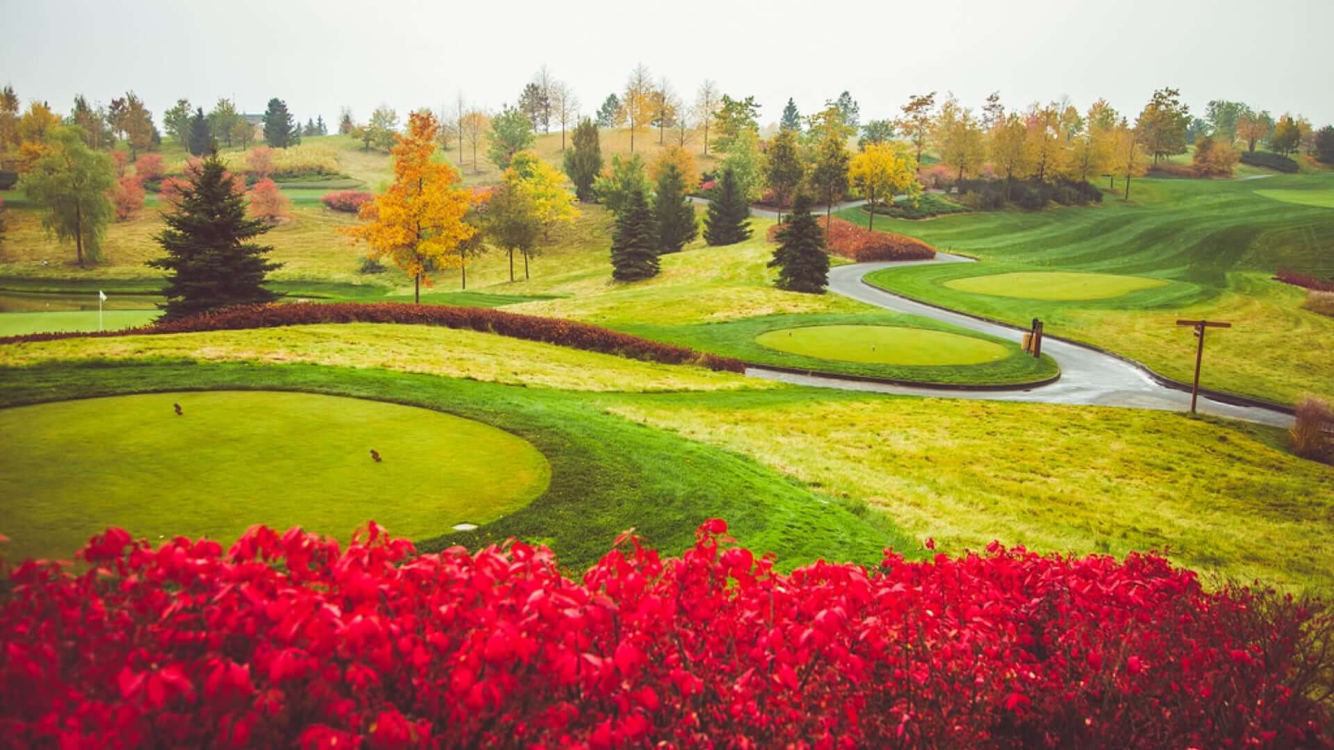 Thời điểm thích hợp nhất để du lịch golf Nga