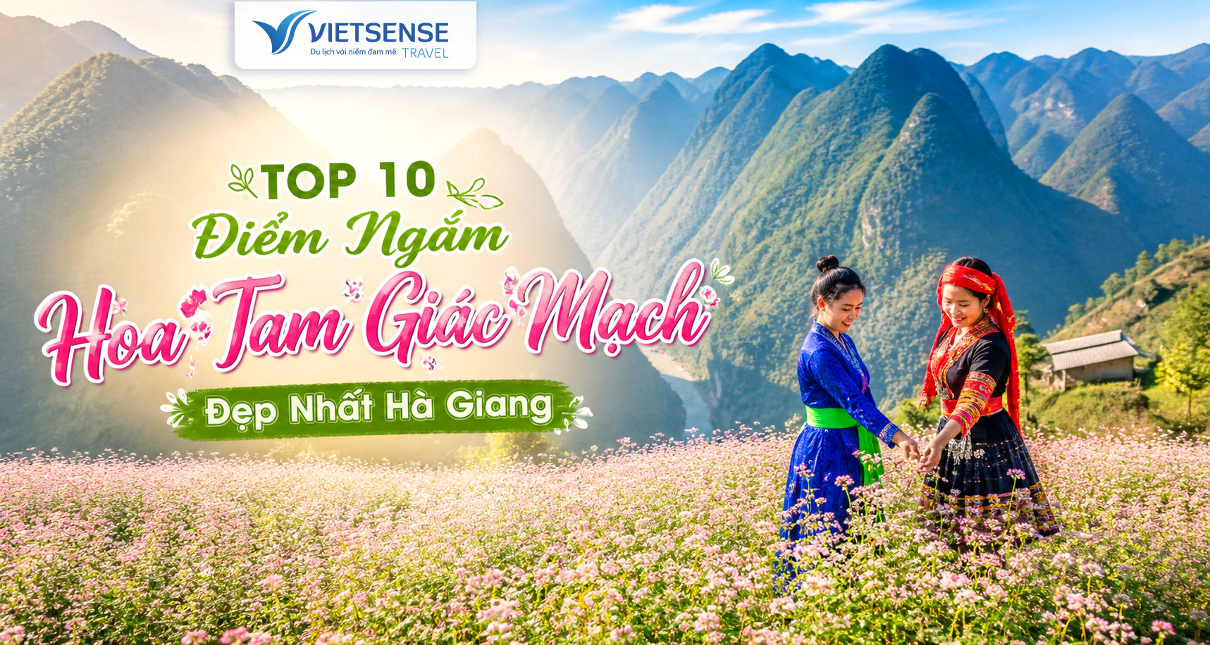 Thời gian và địa điểm hoa Tam Giác Mạch Hà Giang đẹp nhất 2026