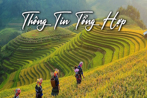 Du Lịch Tây Bắc
