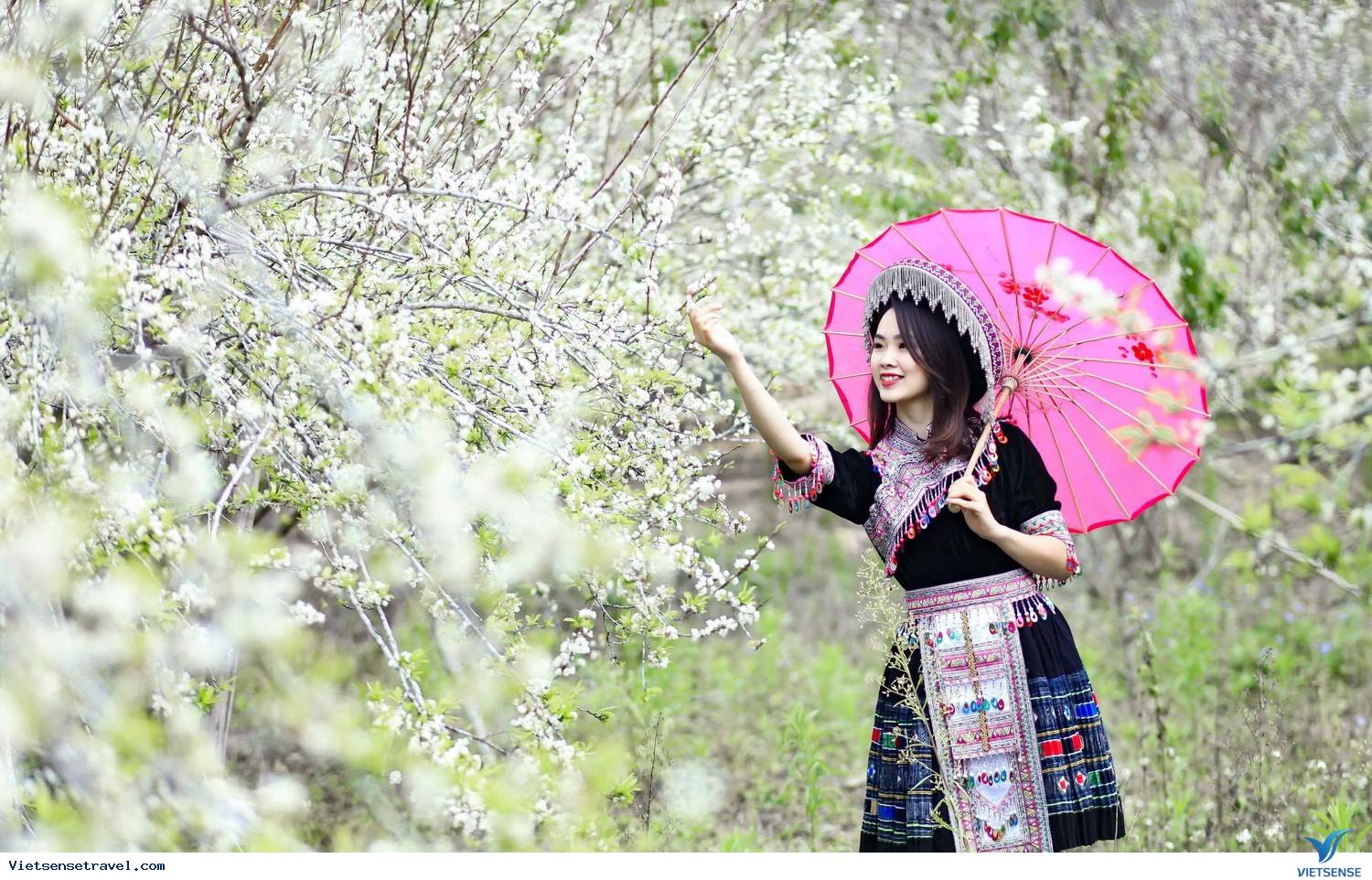 Thung lũng mận Nà Ka