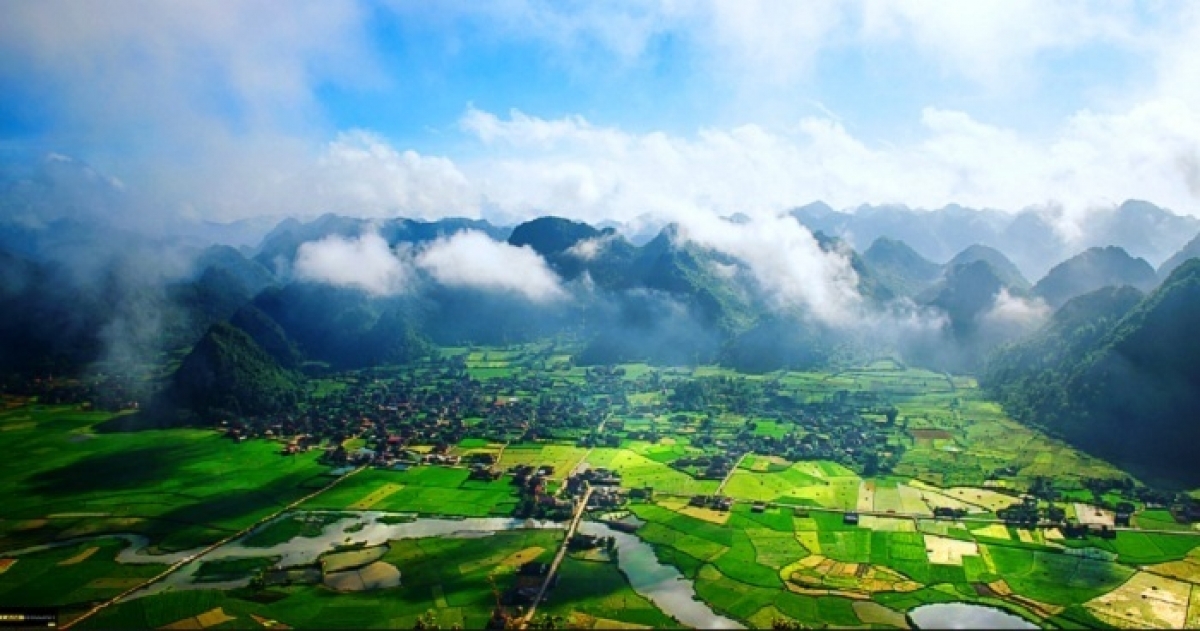 Thung Mây