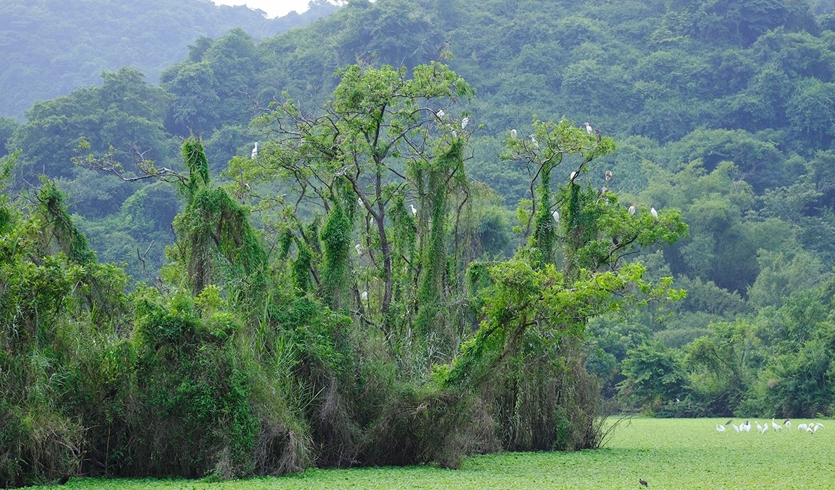 Thung Nham Ninh Bình – Khám phá khu du lịch sinh thái đặc trưng