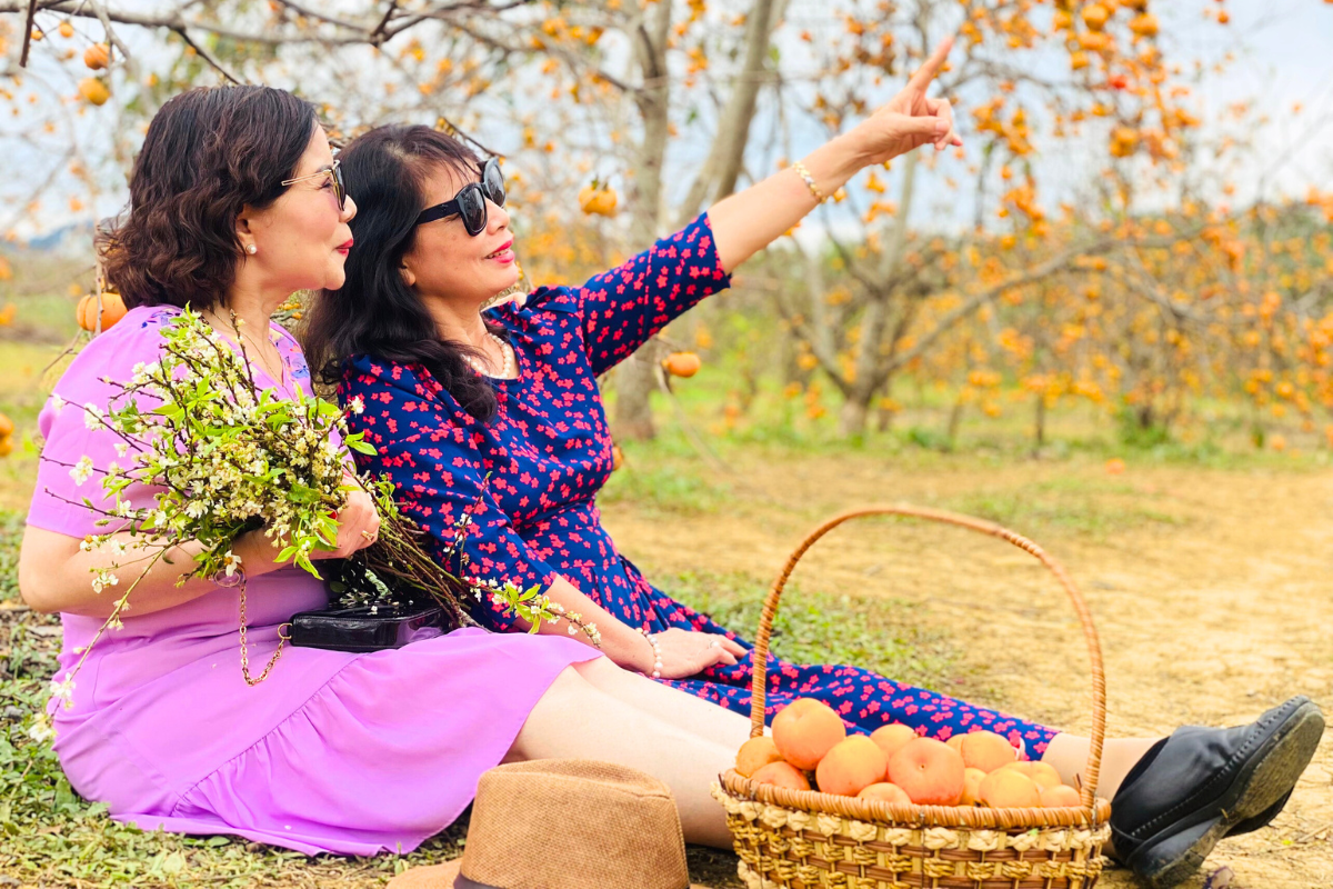 Tips khám phá Mộc Châu tránh đông đúc cho người du lịch lần đầu