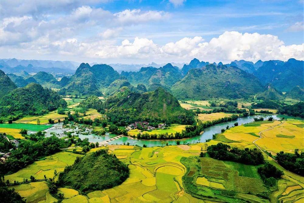 Tổng Hợp Các Món Ăn Ngon Tại Cửa Lò