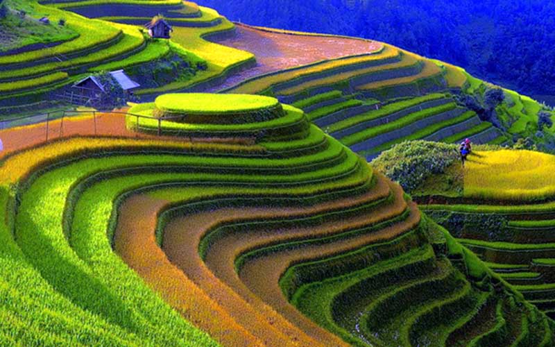 Tổng hợp kinh nghiệm đi Mù Cang Chải