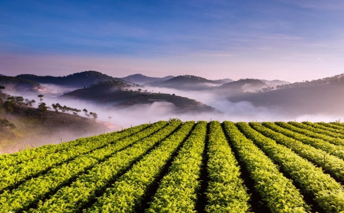 Top 5 địa điểm ngắm cảnh Đà Lạt hoàng hôn đẹp nhất