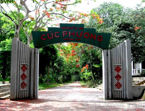 Phát triển vườn Quốc gia Cúc Phương