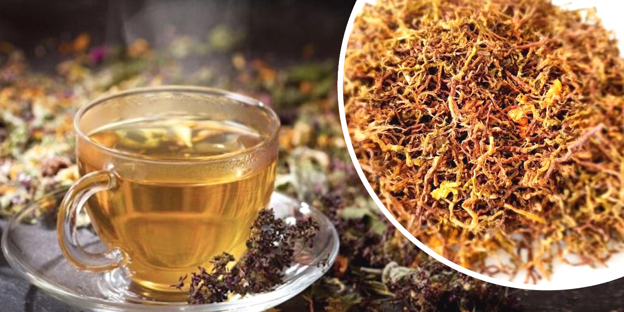 Trà sơn mật hồng sâm Lai Châu