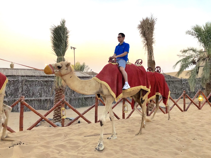 Trải nghiệm cắm trại và cưỡi lạc đà trên sa mạc Sahara ở Maroc