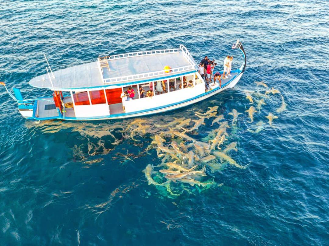 Trải nghiệm thú vị cho kỳ nghỉ ở Maldives