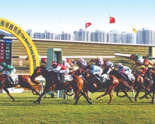 Trường đua ngựa Shatin
