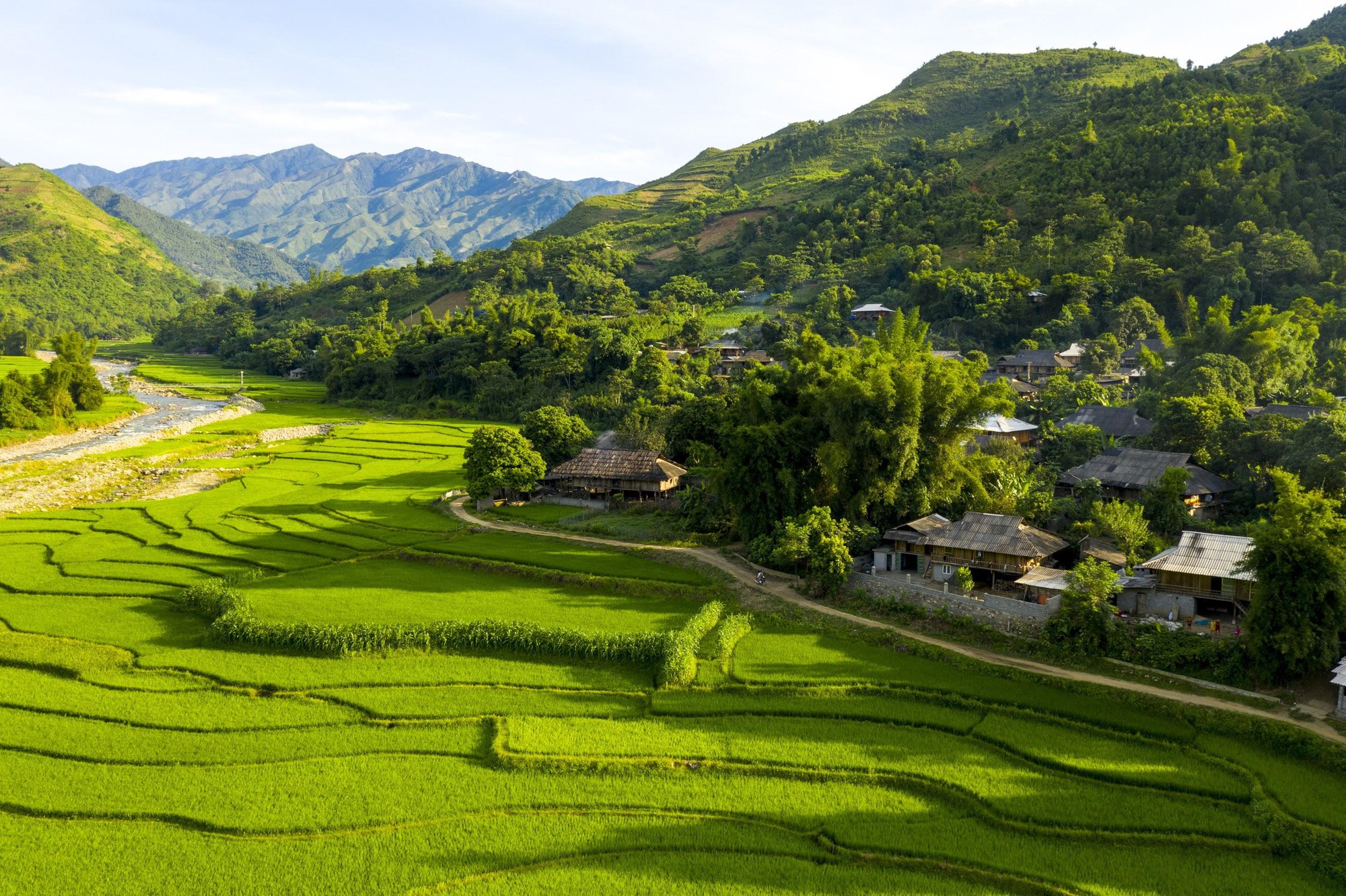 Tú Lệ