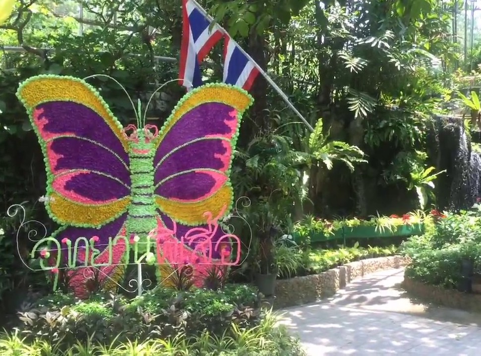 Chiêm ngưỡng vẻ đẹp vườn bướm Saithip Garden ở Chonburi