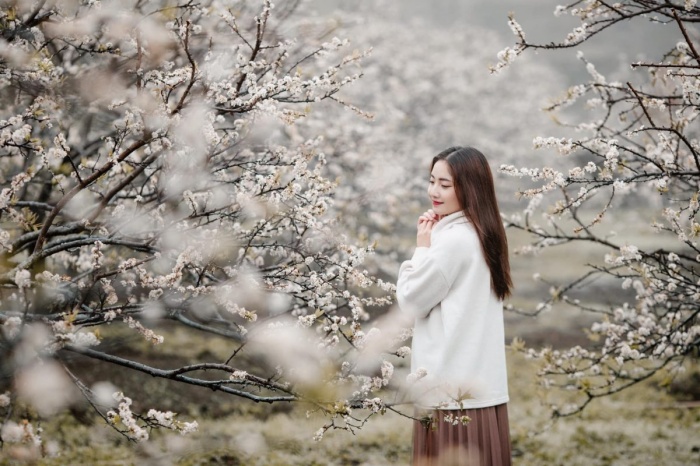 Vườn hoa Lê Hồng Thái