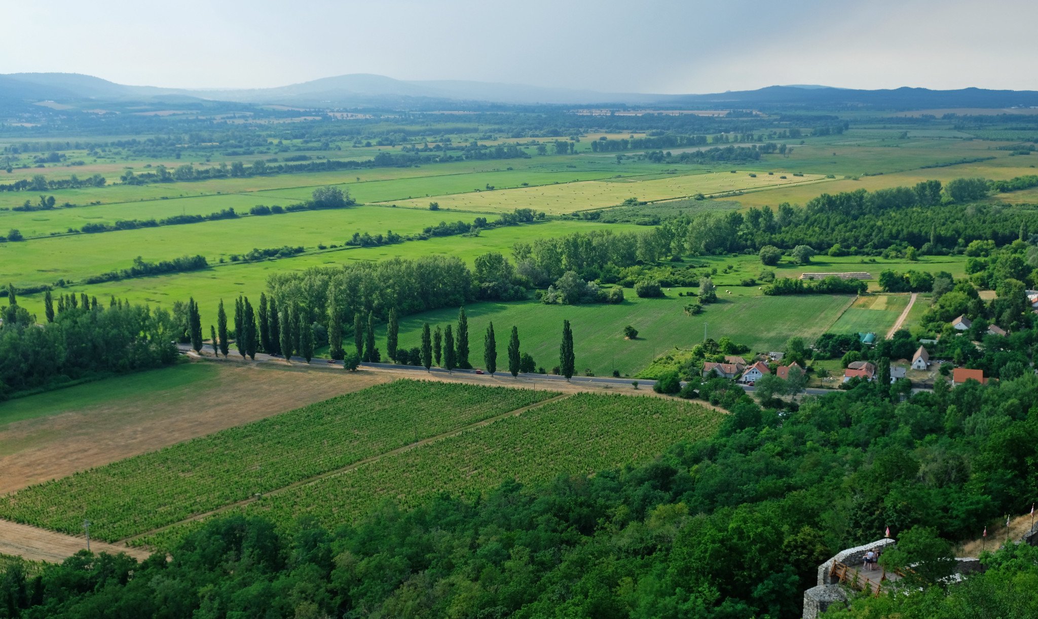 Vườn quốc gia Balaton Uplands – kho báu của hồ Balaton
