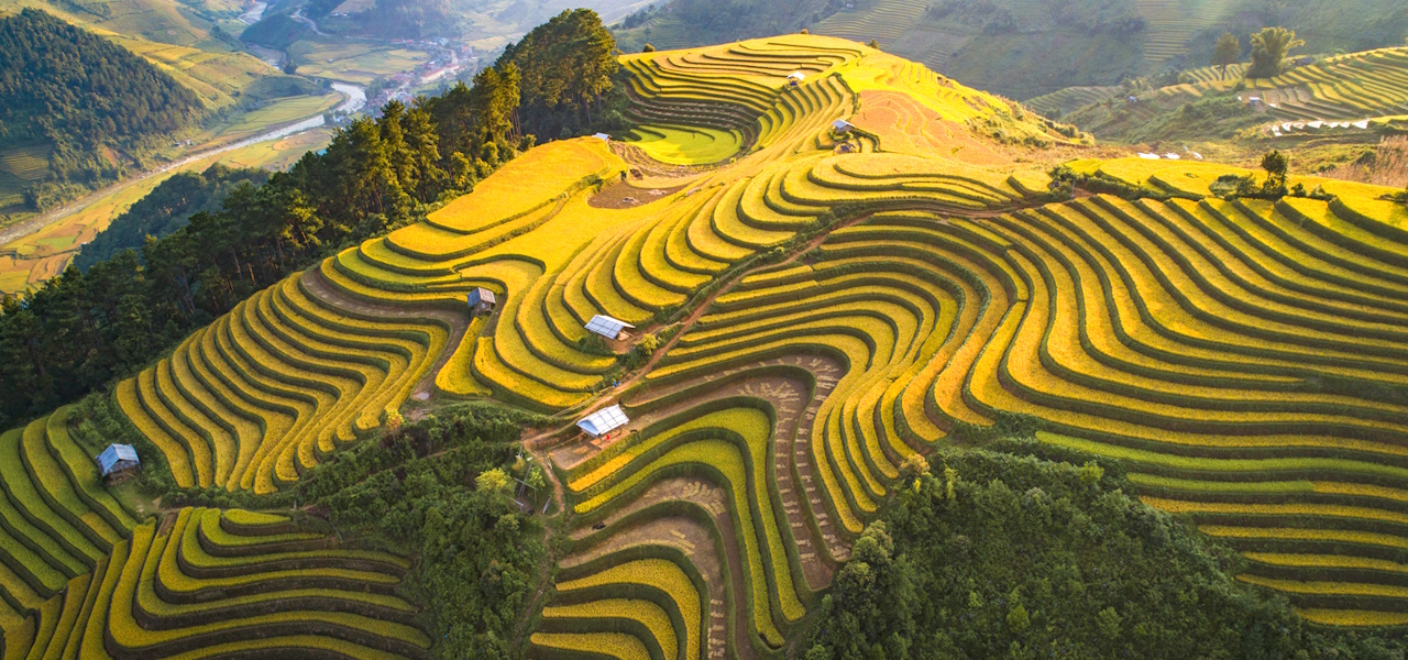 Xã Tú Lệ