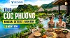 Tour Cúc Phương Mineral Retreat - Ninh Bình 2 ngày 1 đêm giá tốt