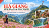 Tour Hà Giang khám phá mùa hoa tam giác mạch rực rỡ