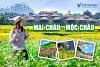 Tour Mai Châu - Mộc Châu mùa hồng treo gió 2 ngày 1 đêm