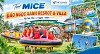 Tour MICE Đảo Ngọc Xanh Resrot & Villa - Phú Thọ 2 ngày 1 đêm giá tốt