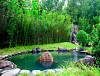 Tour MICE VResort Kim Bôi - Hòa Bình 2 ngày 1 đêm chuyên nghiệp