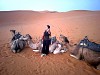 Tour Moroc khám phá sa mạc Sahara 10 ngày 9 đêm