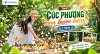 Tour Rừng Quốc gia Cúc Phương mùa bươm bướm 1 ngày