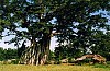 Tour Tân Trào - Hồ Núi Cốc 2 Ngày 1 Đêm