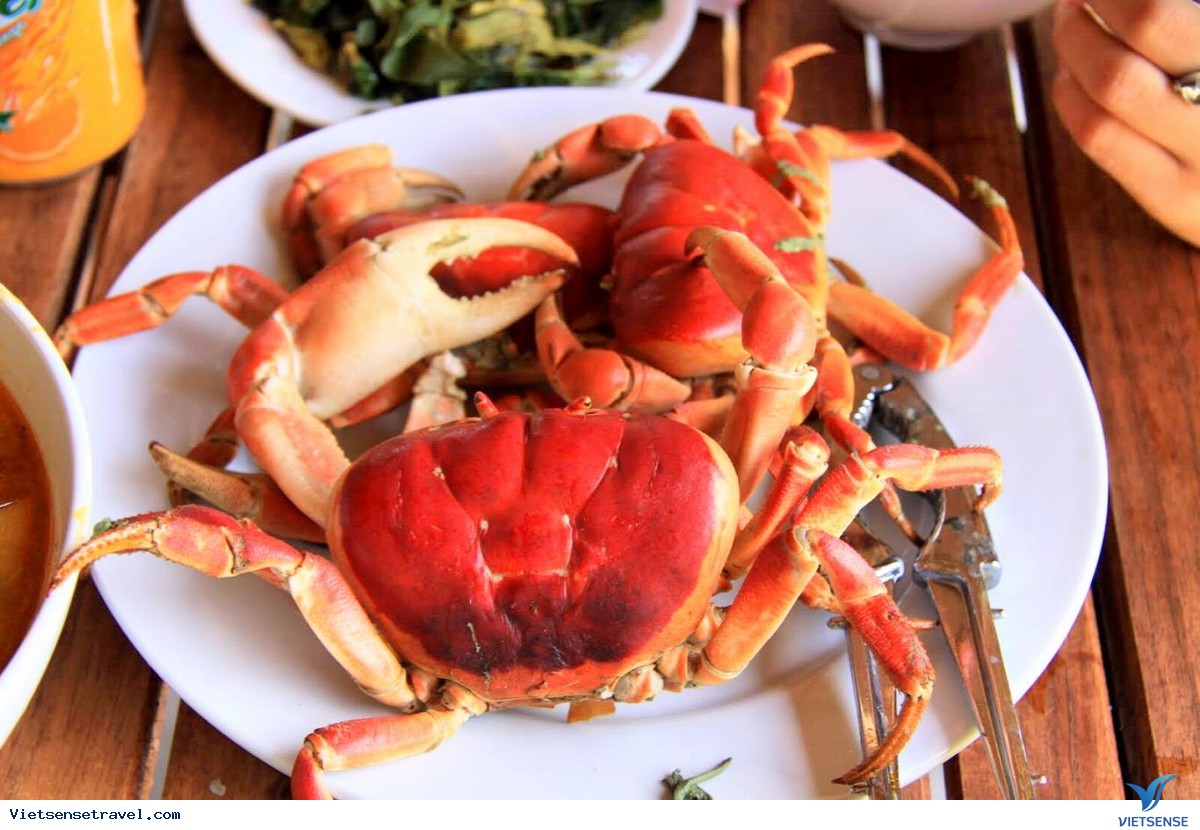 Cua Huỳnh đế Cua Huỳnh đế