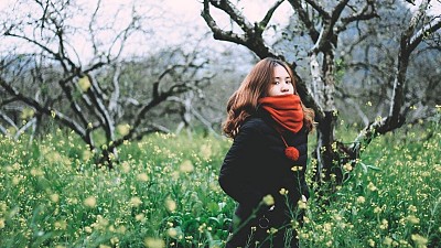 Du Lịch Mộc Châu Tháng 12 Có Gì Đẹp Du Lịch Mộc Châu Tháng 12 Có Gì Đẹp