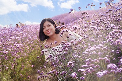 Du Lịch Sapa Checkin Vườn Hoa Oải Hương Đẹp Ngất Người Tựa Như Lạc Bước Tới Provence Nước Pháp Du Lịch Sapa Checkin Vườn Hoa Oải Hương Đẹp Ngất Người Tựa Như Lạc Bước Tới Provence Nước Pháp