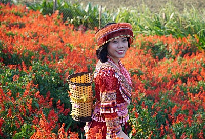 Du Lịch Sapa Trải Nghiệm Fansipan Mùa Hè 2019 Có Gì Hot Du Lịch Sapa Trải Nghiệm Fansipan Mùa Hè 2019 Có Gì Hot