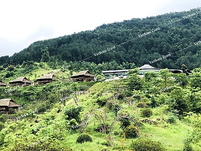 Hướng dẫn du lịch Tú Lệ – Điểm đến Tây Bắc hút hồn du khách Hướng dẫn du lịch Tú Lệ – Điểm đến Tây Bắc hút hồn du khách