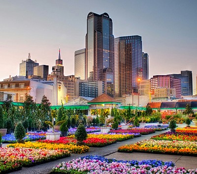 Khám phá 3 điểm du lịch nổi tiếng ở thành phố Dallas Khám phá 3 điểm du lịch nổi tiếng ở thành phố Dallas