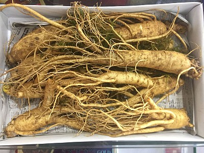 Kinh Nghiệm Chọn Mua Nhân Sâm Khi Đi Du Lịch Hàn Quốc Kinh Nghiệm Chọn Mua Nhân Sâm Khi Đi Du Lịch Hàn Quốc
