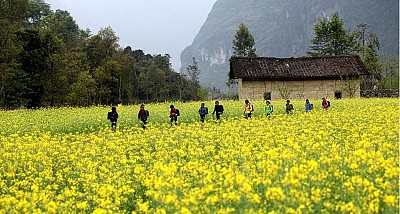 Kinh nghiệm du lịch Hà Giang tháng 12 Kinh nghiệm du lịch Hà Giang tháng 12