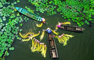 Kinh nghiệm du lịch miền Tây mùa nước nổi Kinh nghiệm du lịch miền Tây mùa nước nổi