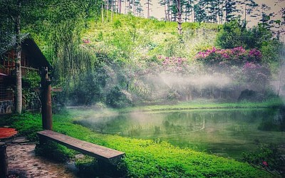Lạc vào không gian huyền bí tại Ma Rừng Lữ Quán Đà Lạt Lạc vào không gian huyền bí tại Ma Rừng Lữ Quán Đà Lạt