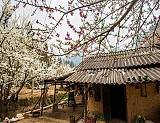 Những Điểm Đến Hấp Dẫn Ở Miền Bắc Vào Mùa Đông Những Điểm Đến Hấp Dẫn Ở Miền Bắc Vào Mùa Đông