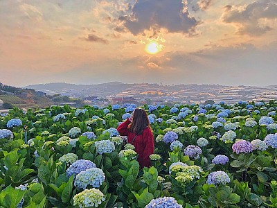 Những Món Ăn Được Yêu Thích Ở Đà Lạt Những Món Ăn Được Yêu Thích Ở Đà Lạt