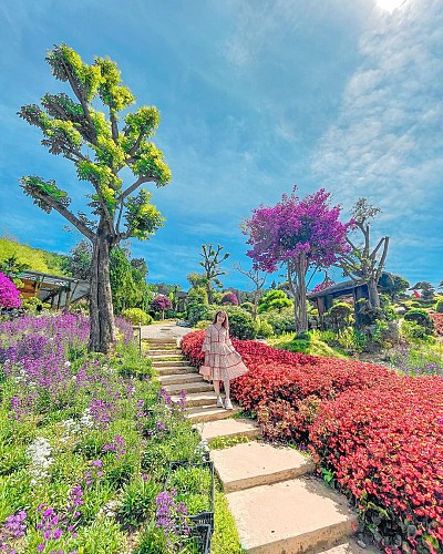 Que Garden - Nhật Bản thu nhỏ giữa lòng thành phố Đà Lạt Que Garden - Nhật Bản thu nhỏ giữa lòng thành phố Đà Lạt